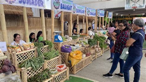 Ilocos Norte city gears up as smart, sustainable city .